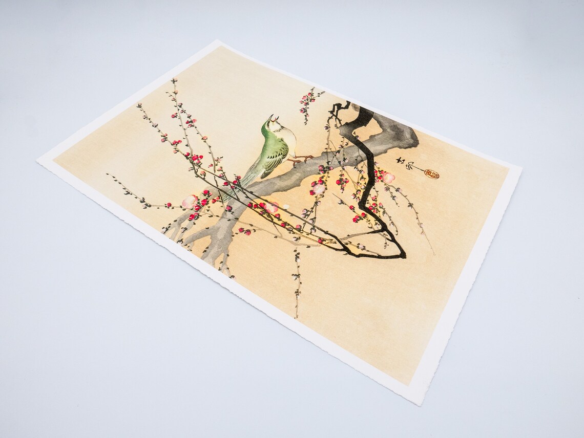 Ohara Koson – Oiseau chanteur et fleur de prunier – Image 2