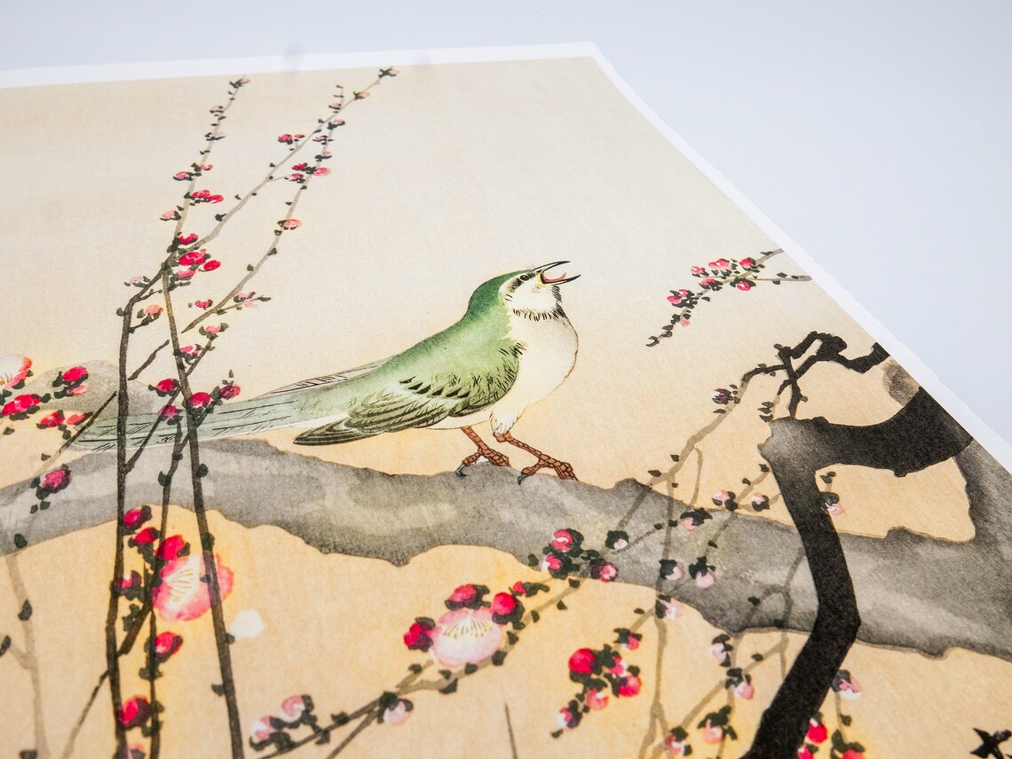 Ohara Koson – Oiseau chanteur et fleur de prunier – Image 3