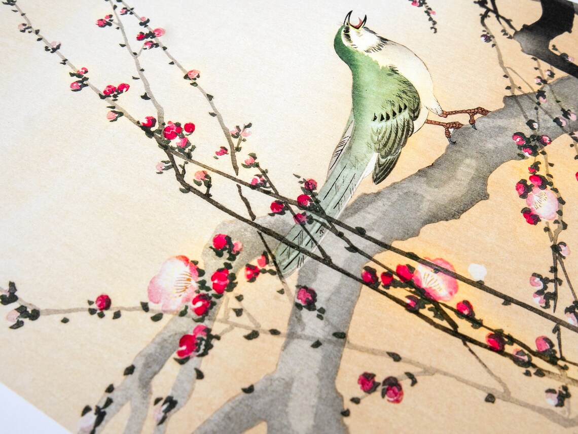 Ohara Koson – Oiseau chanteur et fleur de prunier – Image 5