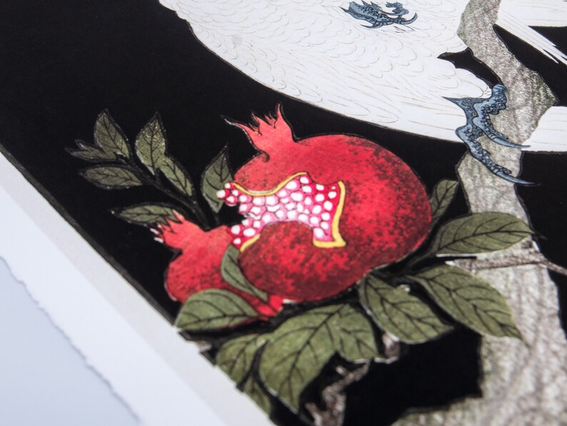 Ohara Koson – Cacatoès et grenade – Image 4