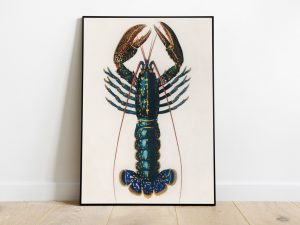 Charles Dessalines d'Orbigny (1806-1876) - Crimson Crawfish
