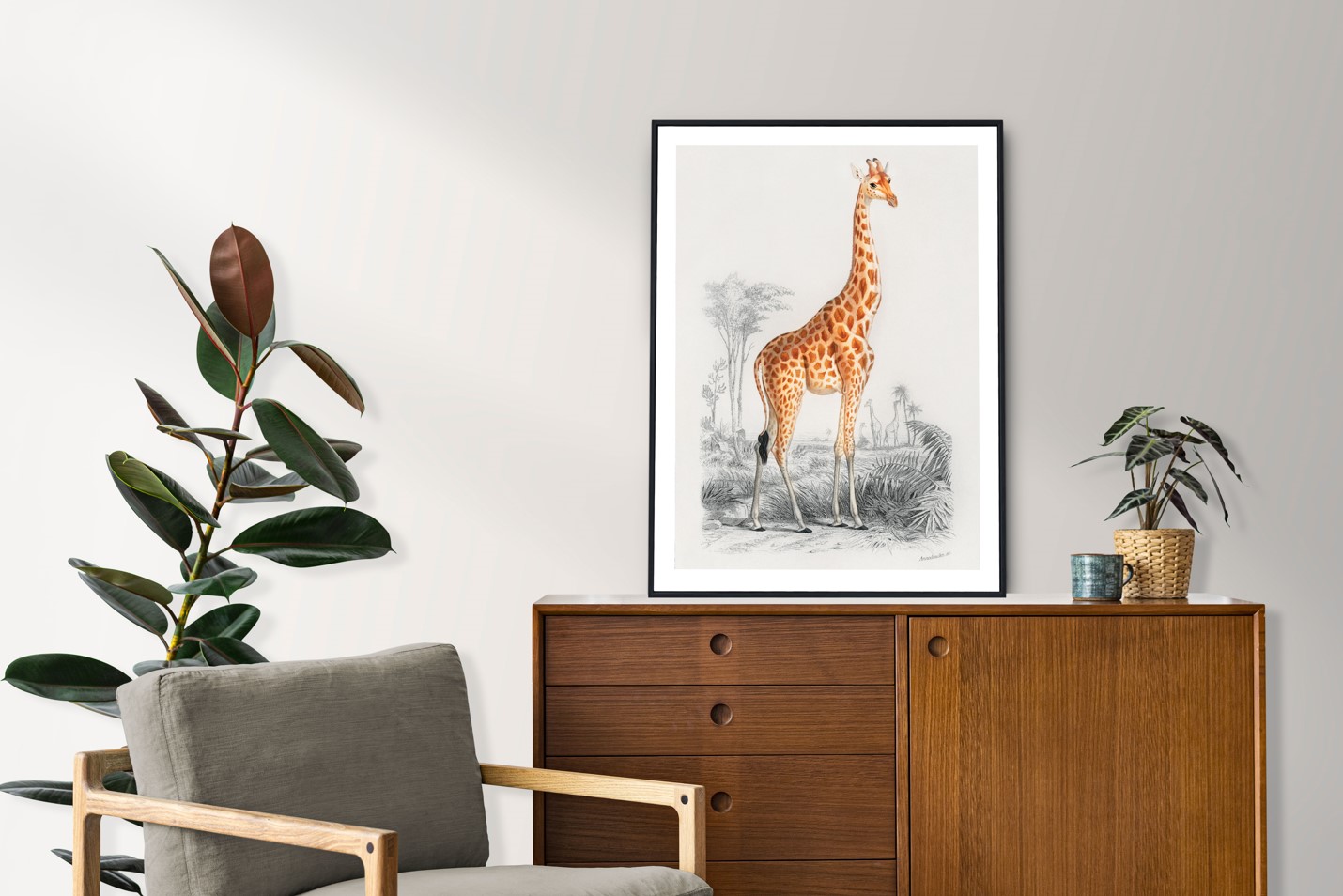 Charles Dessalines d'Orbigny (1806-1876) - Giraffe – Image 2