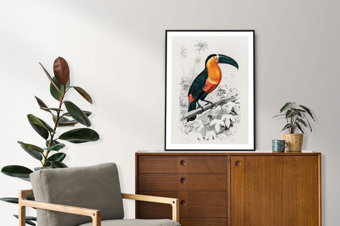 Charles Dessalines d'Orbigny (1806-1876) - Toucan – Image 2