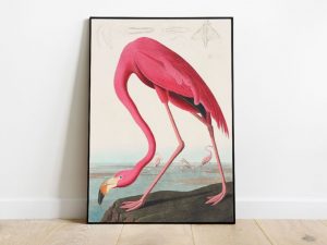 John James Audubon - Birds of America (1827)