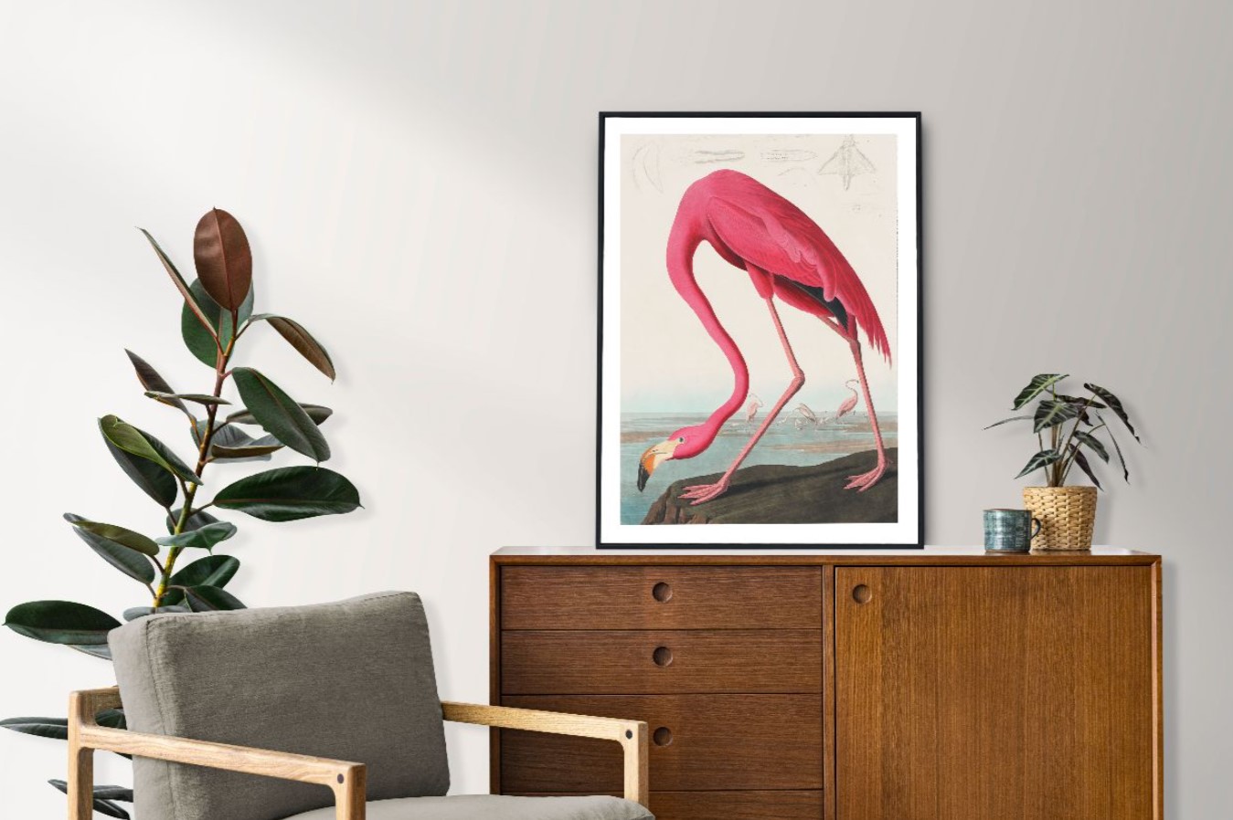 John James Audubon - Birds of America (1827) – Image 2