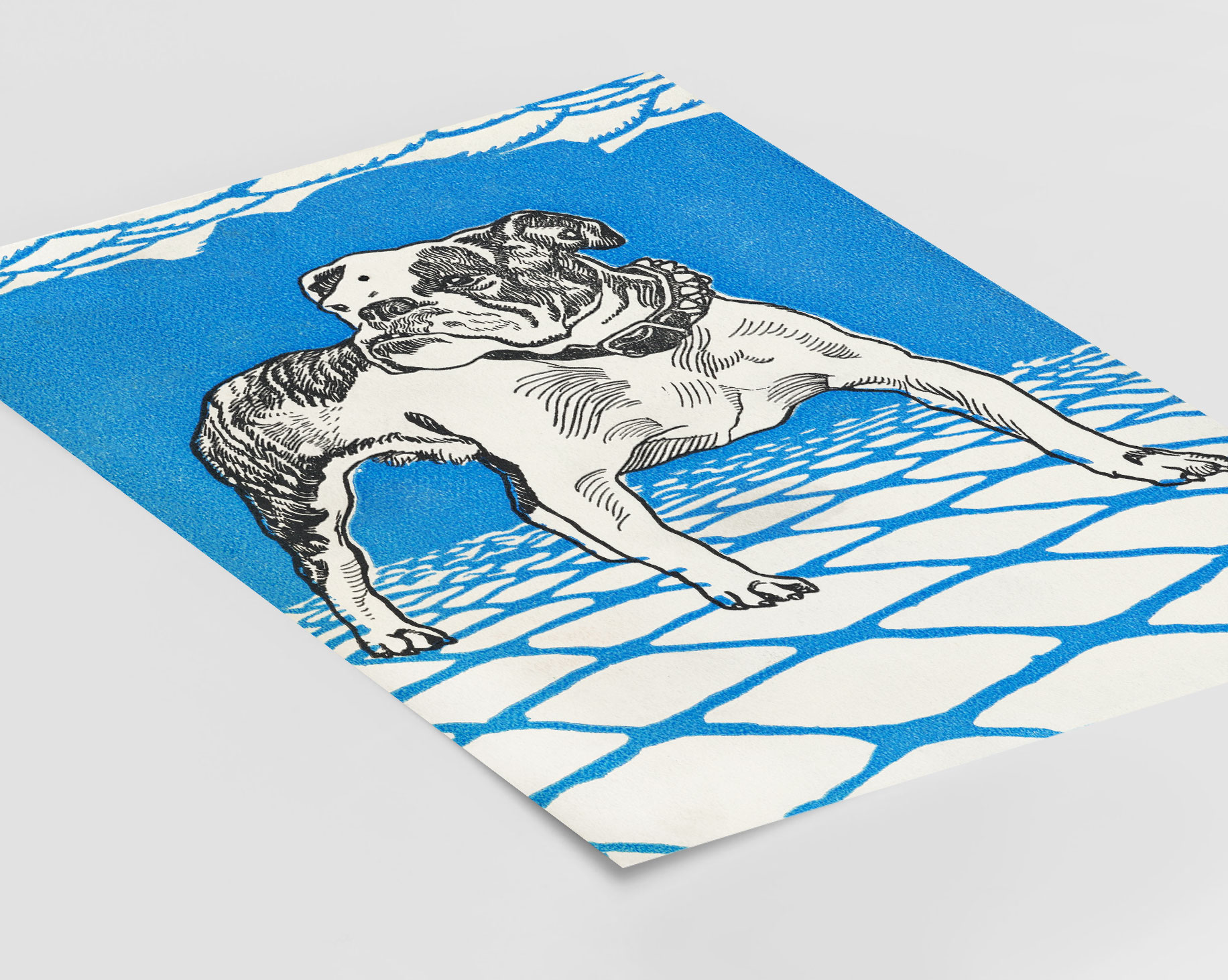 Moriz Jung - Bulldog (1912) – Image 3